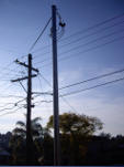 Power Pole